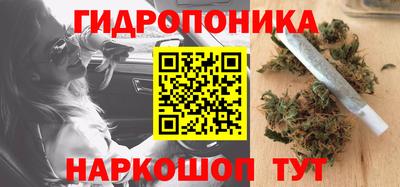 крисы Северобайкальск