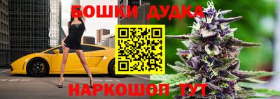 крисы Северобайкальск