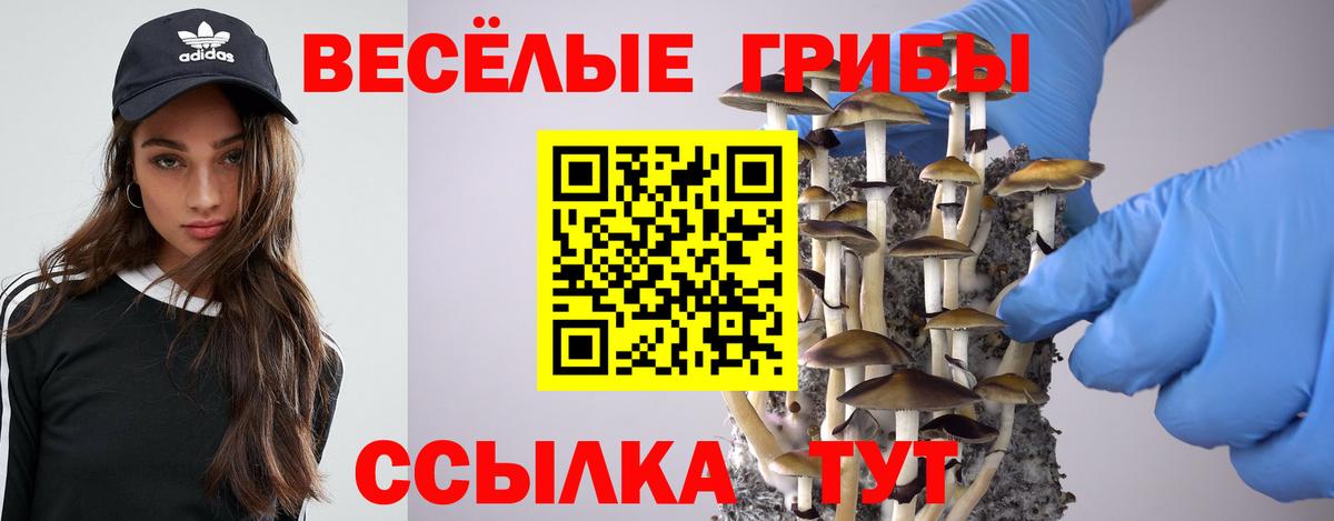 Нурлат  Галлюциногенные грибы прущие грибы  Псилоцибиновые грибы GOLDEN TEACHER  Вход с VPN 